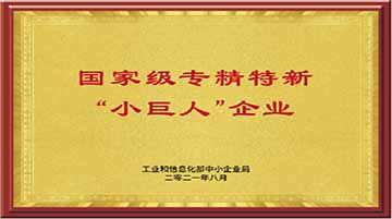 國家級專精特新“小巨人”企業